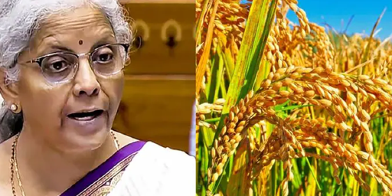 Agriculture sector: Government allocates Rs 1.52 lakh crore in Union Budget