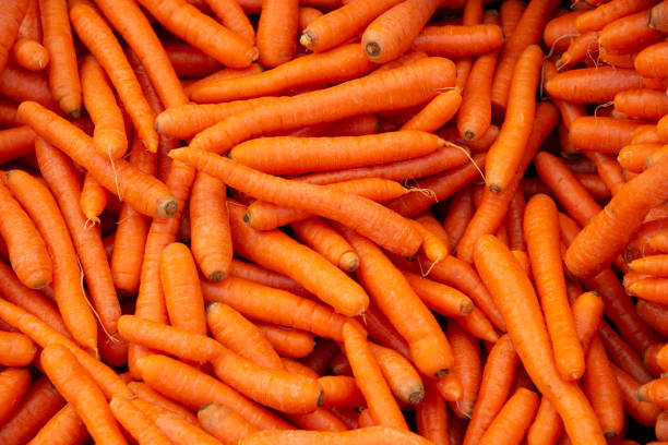 Carrot