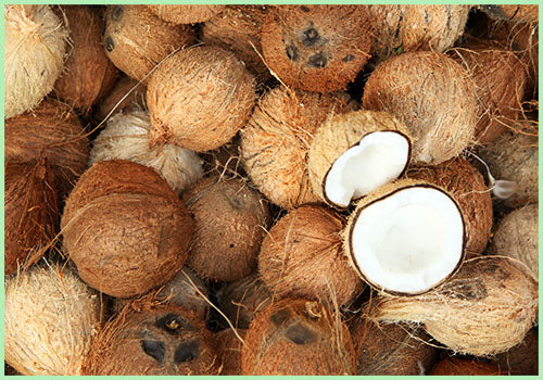 Coconut