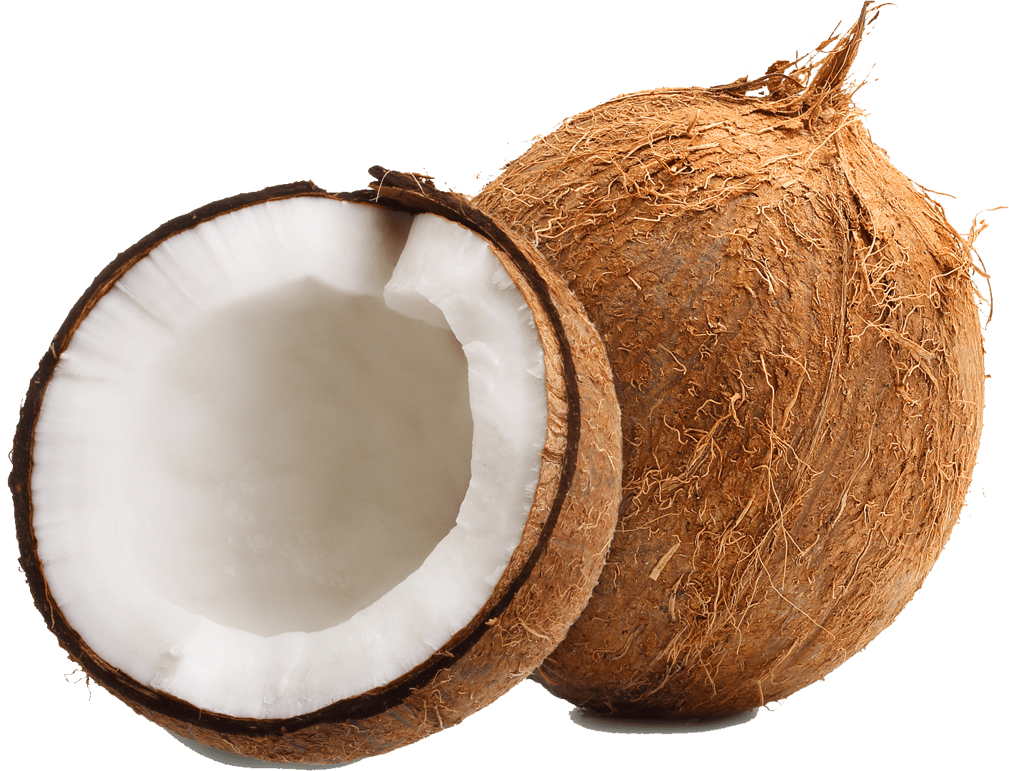 Coconut