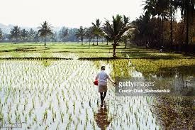 Agriculture for lease
