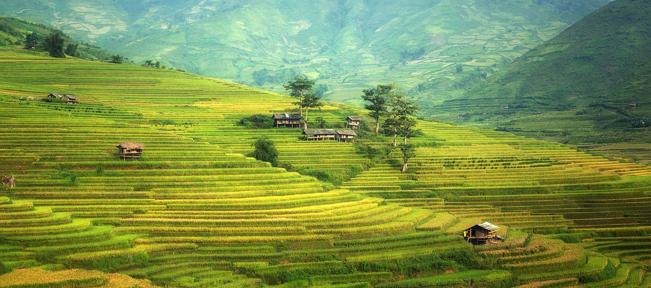 Agricultural land conversion to non-agricultural use for sale/lease