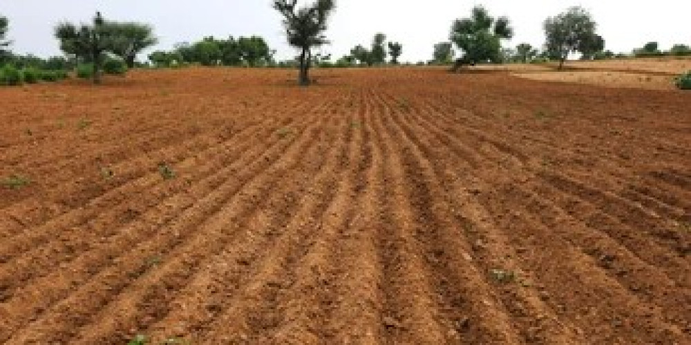 Agriculture for lease